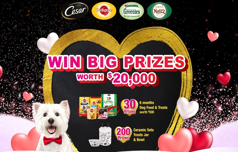 Win Big Prizes worth $20,000 with Cesar
